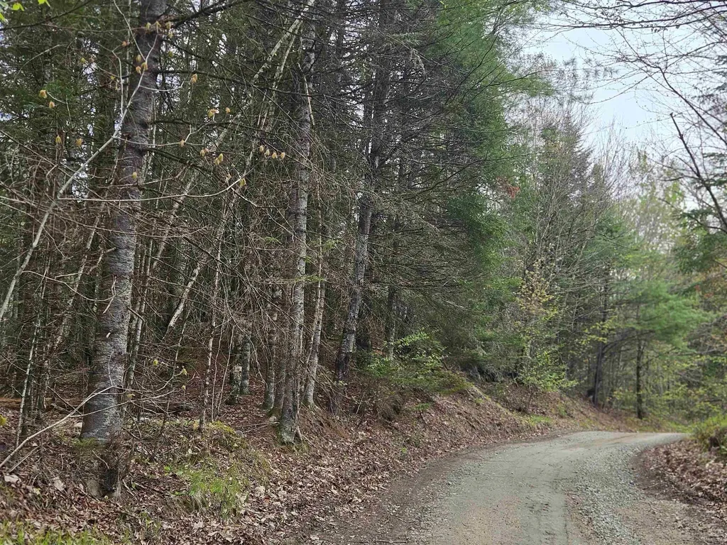 Lot 10.1 Wallace Hill Road Franconia NH 03580