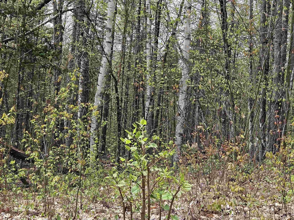 Lot 10.1 Wallace Hill Road Franconia NH 03580