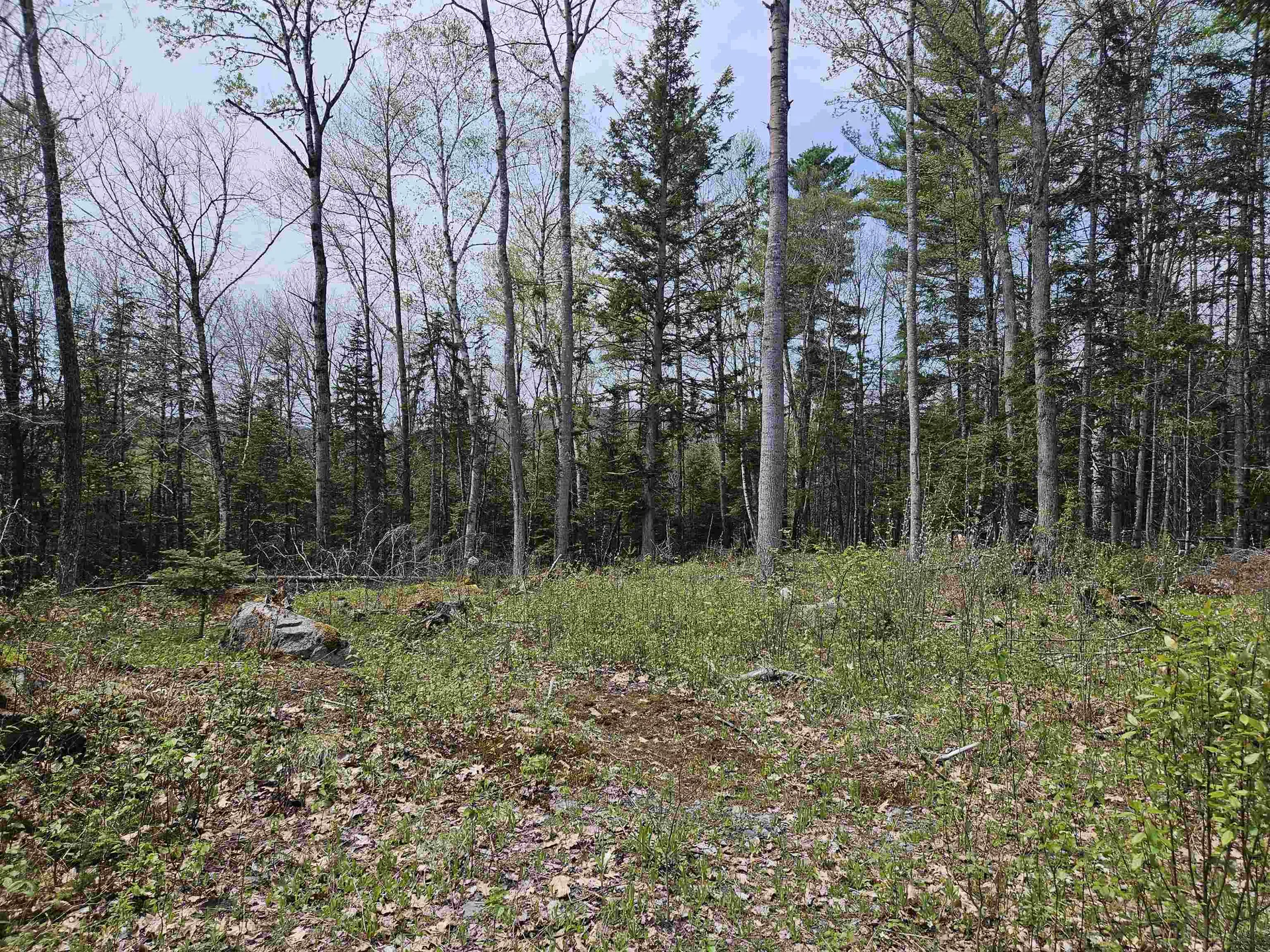 Lot 10.1 Wallace Hill Road Franconia NH 03580