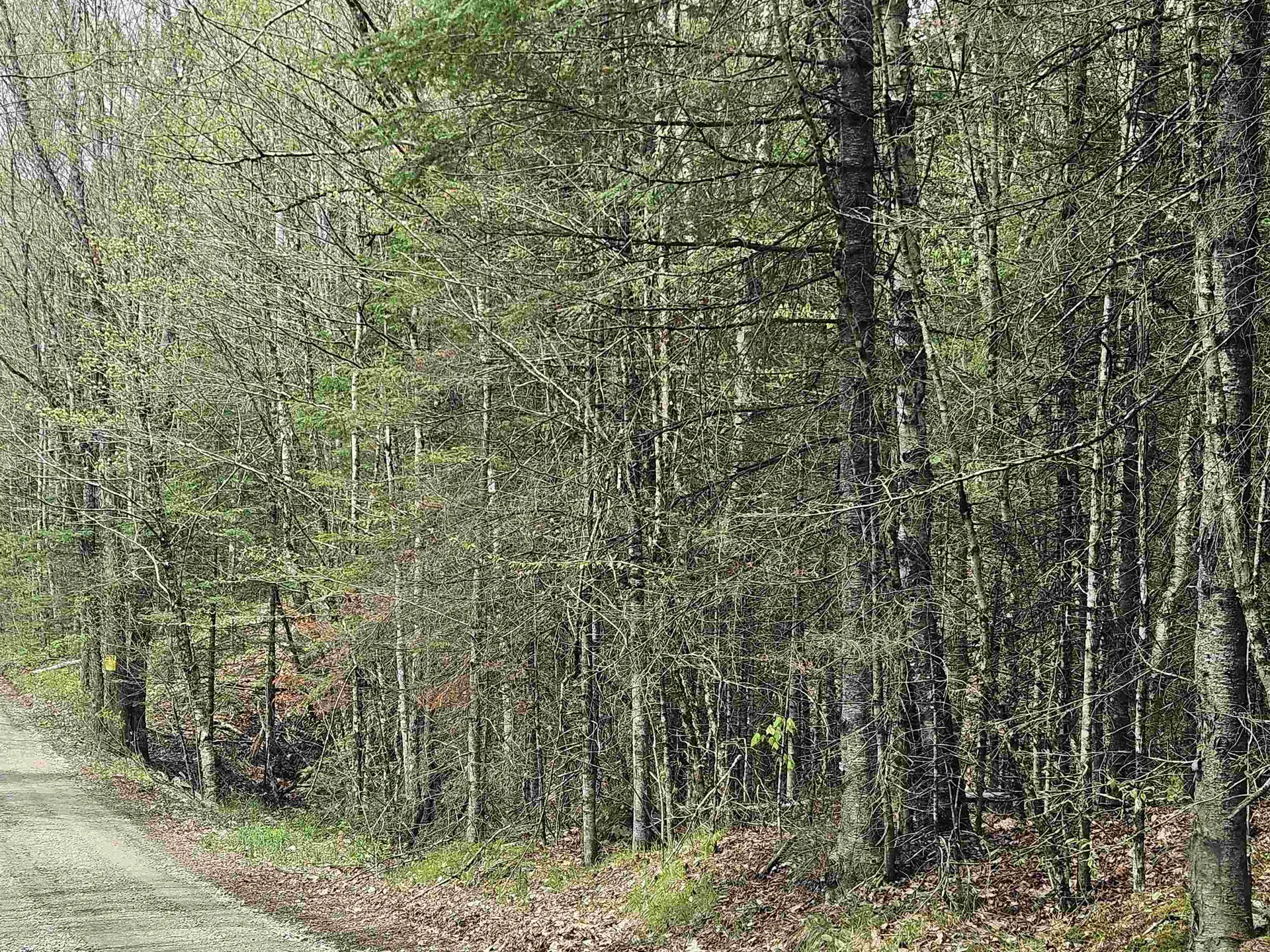 Lot 10.1 Wallace Hill Road Franconia NH 03580