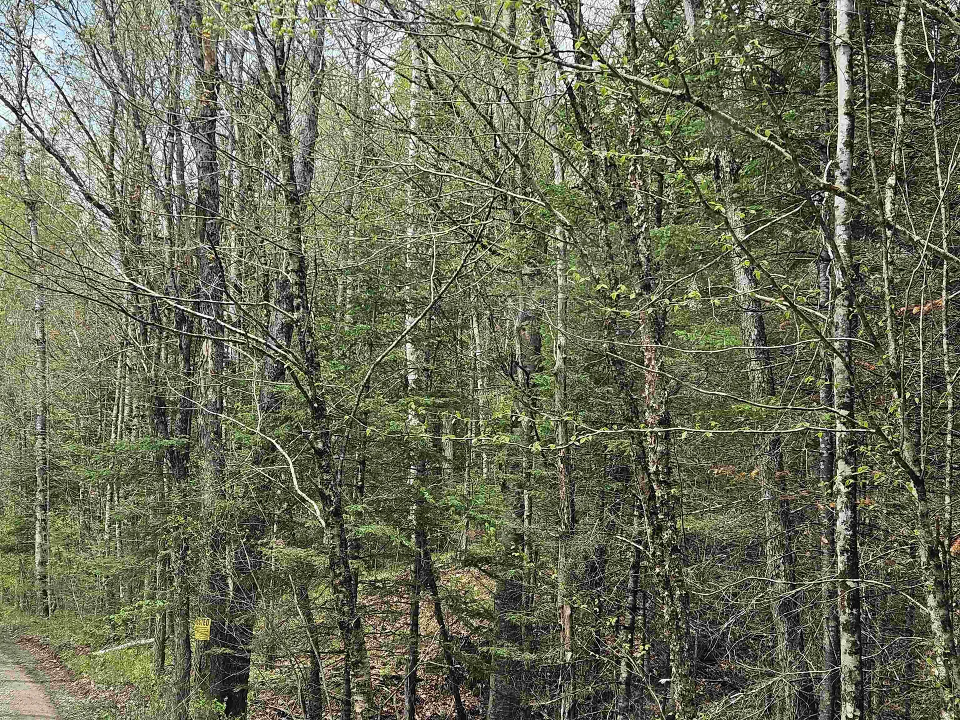 Lot 10.1 Wallace Hill Road Franconia NH 03580