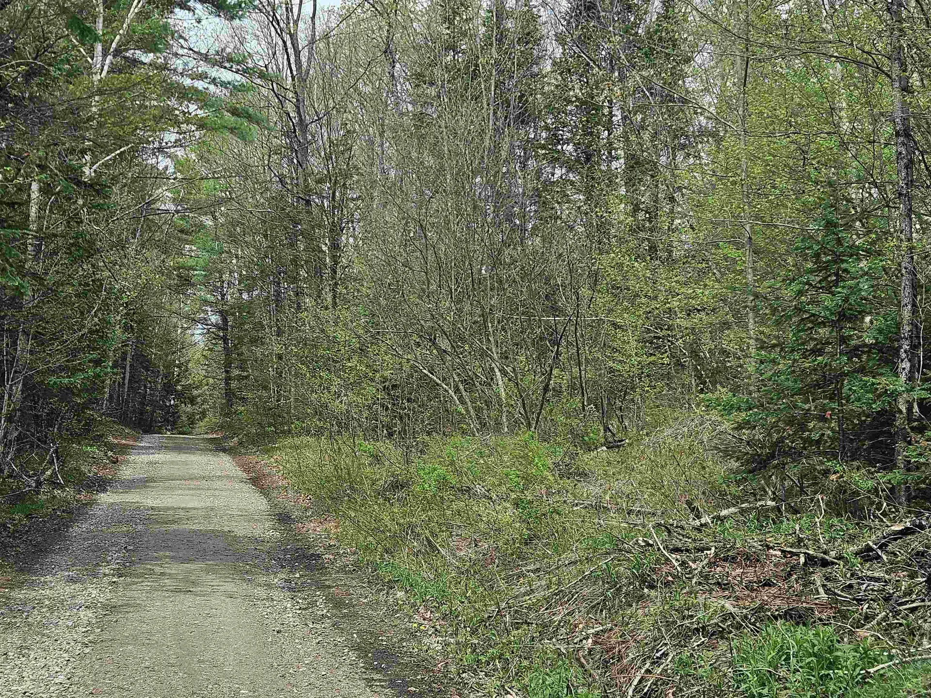Lot 10.1 Wallace Hill Road Franconia NH 03580
