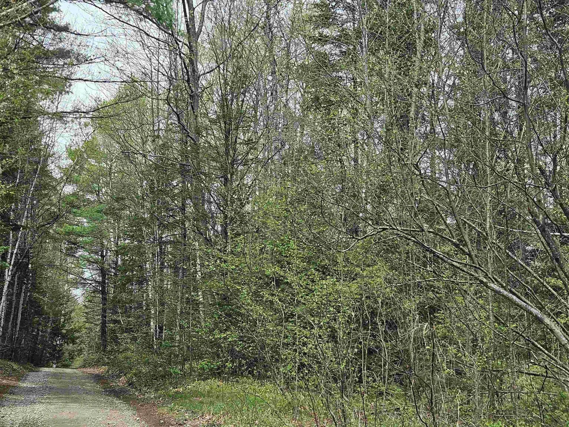 Lot 10.1 Wallace Hill Road Franconia NH 03580