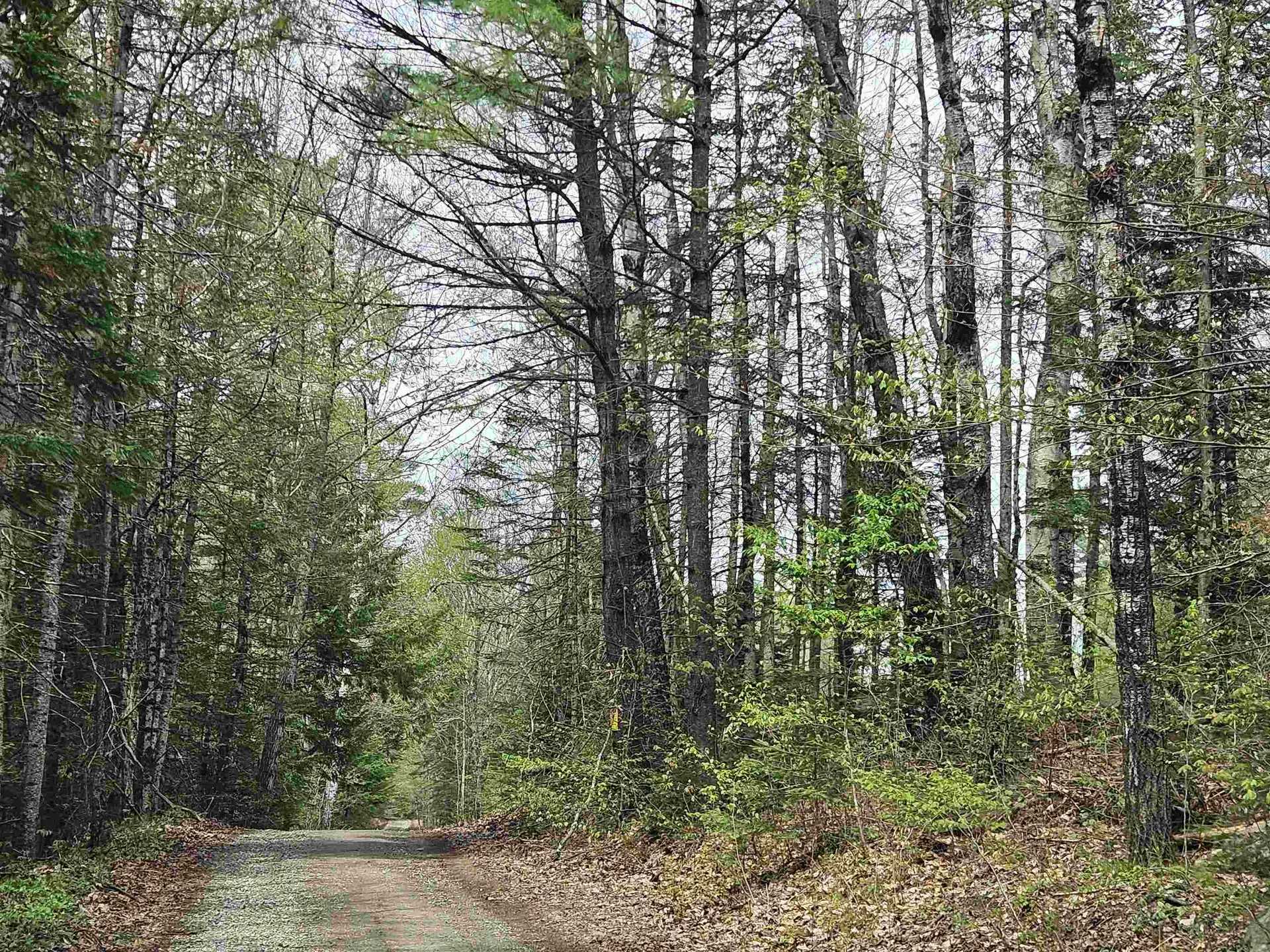 Lot 10.1 Wallace Hill Road Franconia NH 03580