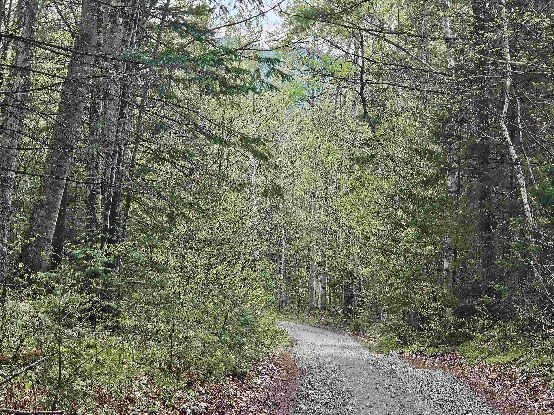Lot 10.1 Wallace Hill Road Franconia NH 03580