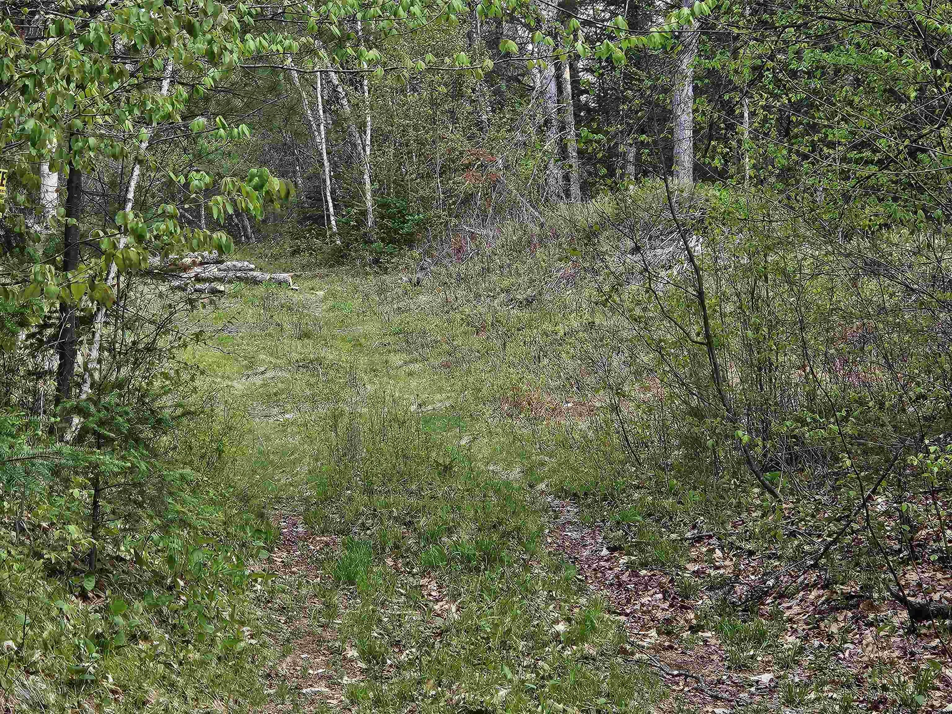 Lot 10.1 Wallace Hill Road Franconia NH 03580