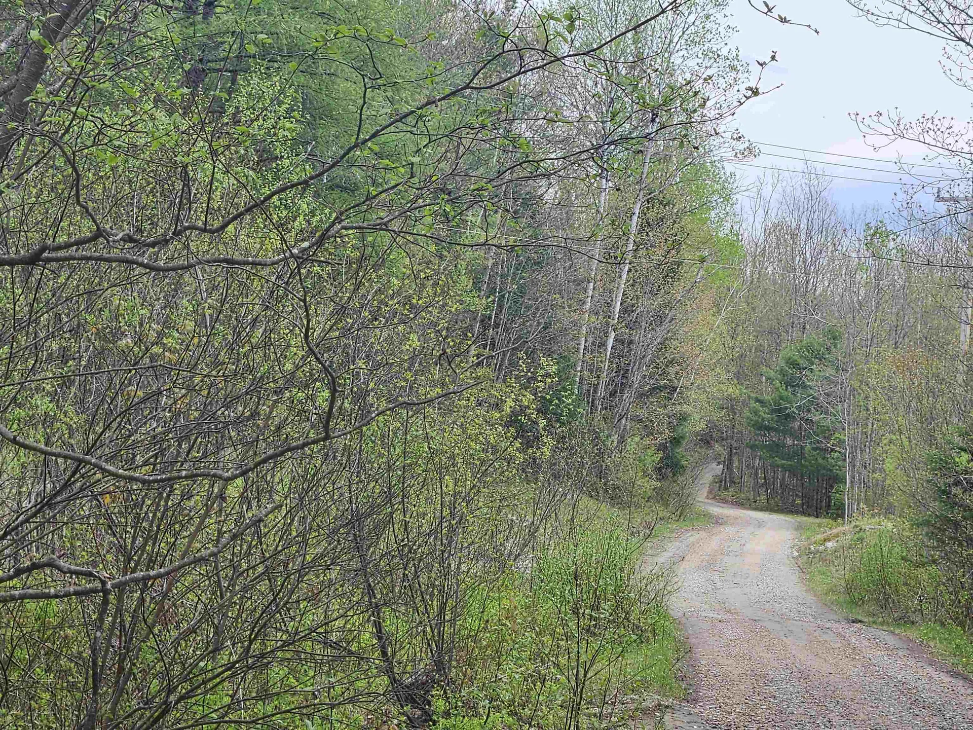 Lot 10.1 Wallace Hill Road Franconia NH 03580