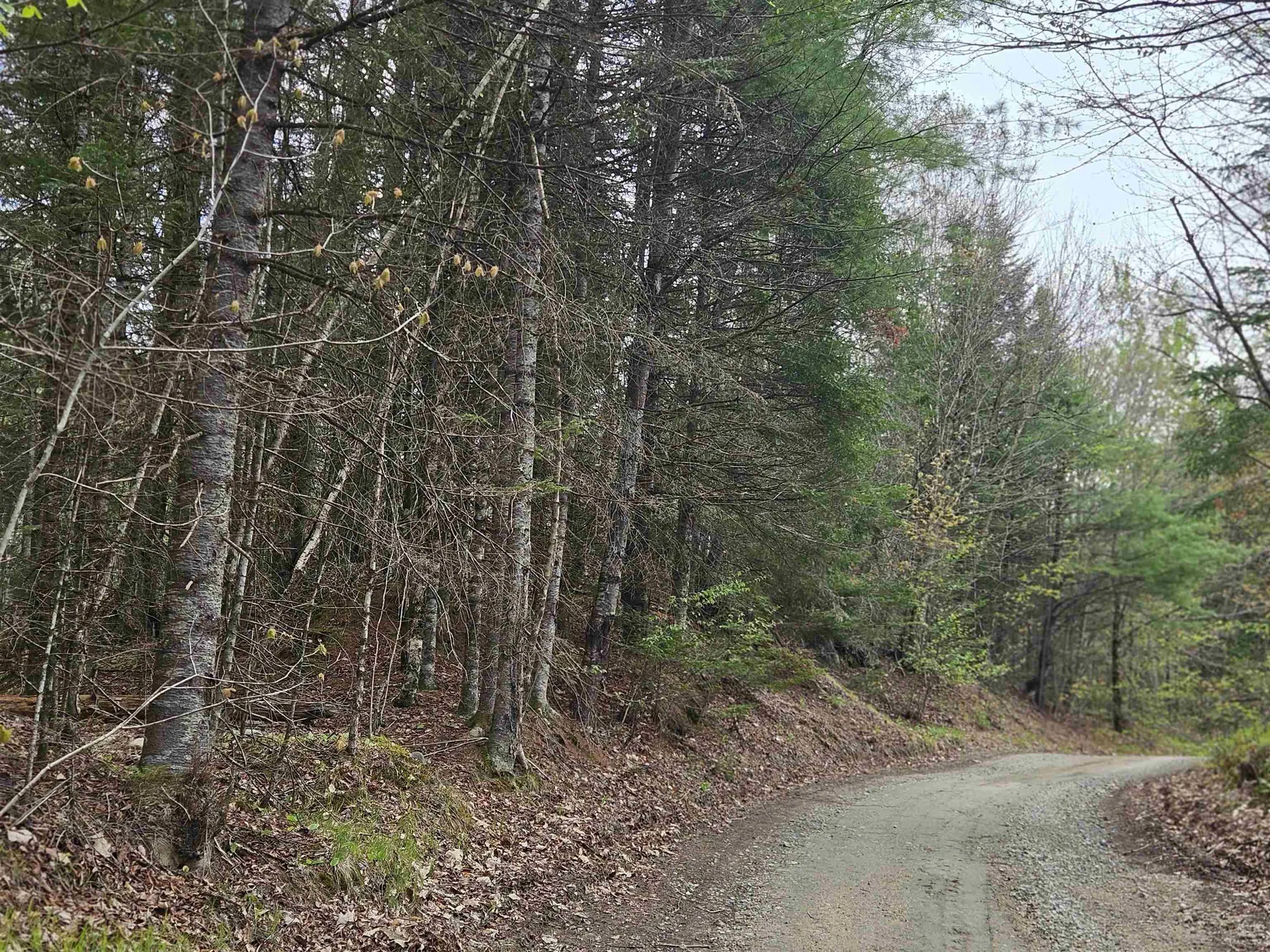 Lot 10.1 Wallace Hill Road Franconia NH 03580