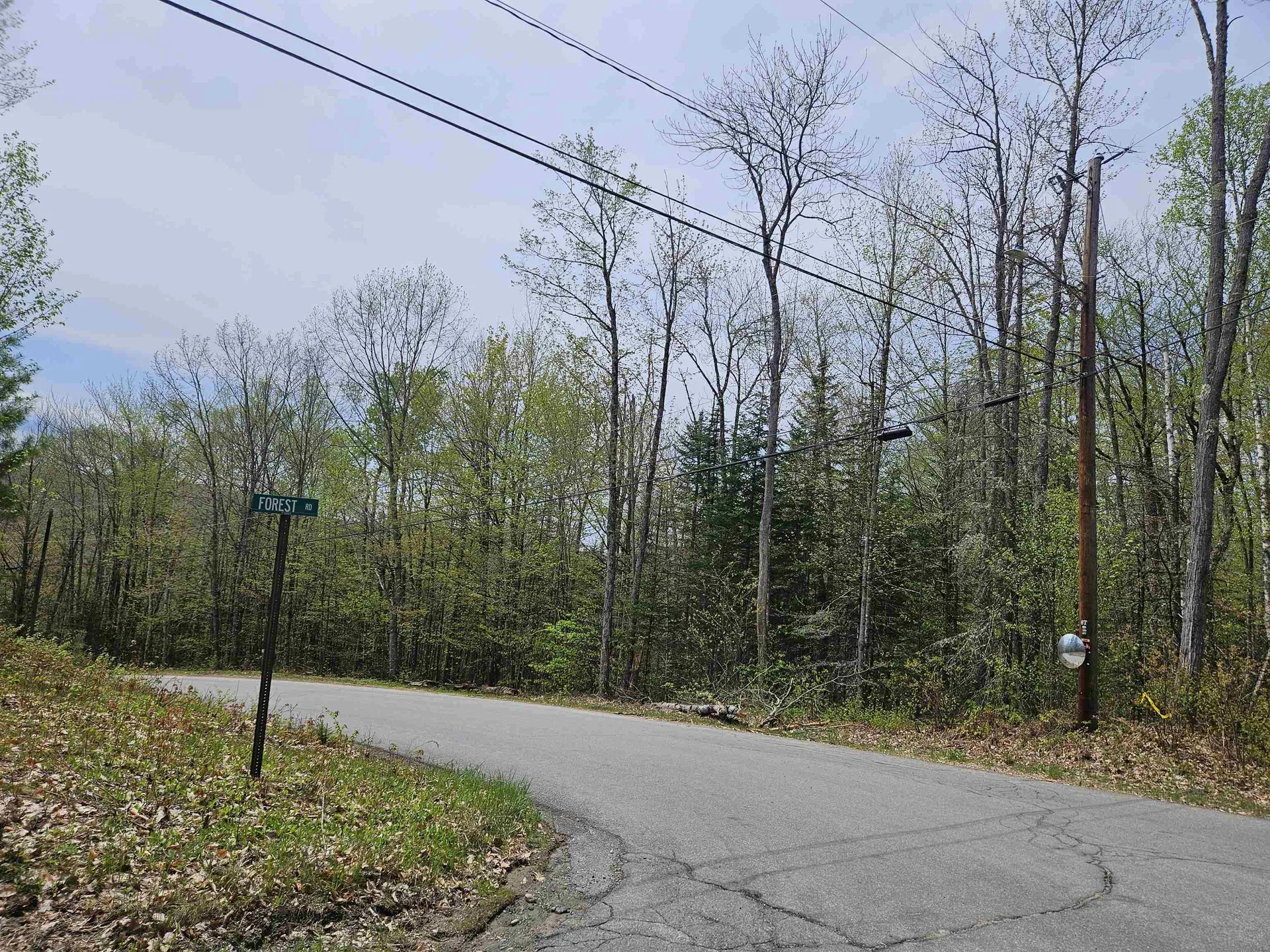 Lot 10.1 Wallace Hill Road Franconia NH 03580