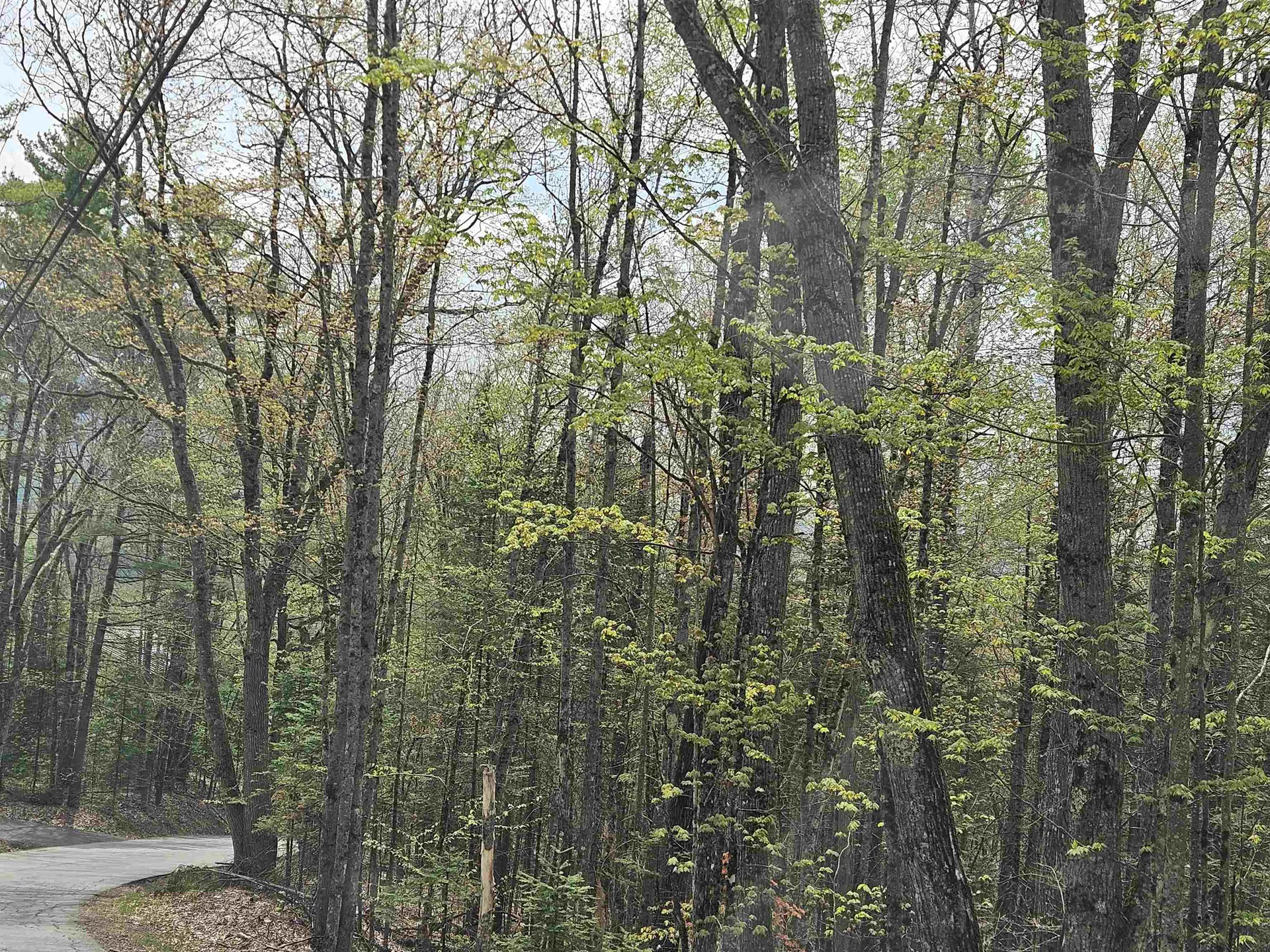 Lot 10.1 Wallace Hill Road Franconia NH 03580