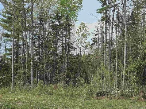 Lot 10.1 Wallace Hill Road Franconia NH 03580