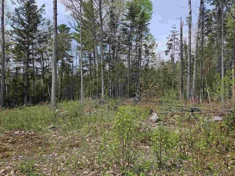 Lot 10.1 Wallace Hill Road Franconia NH 03580