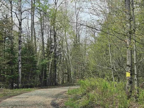 Lot 10.1 Wallace Hill Road Franconia NH 03580