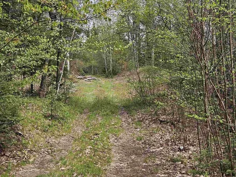 Lot 10.1 Wallace Hill Road Franconia NH 03580