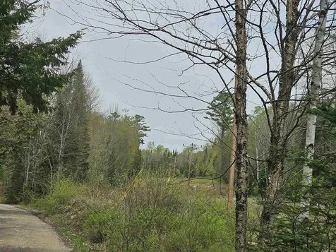Lot 10.1 Wallace Hill Road Franconia NH 03580