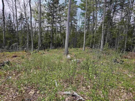 Lot 10.1 Wallace Hill Road Franconia NH 03580