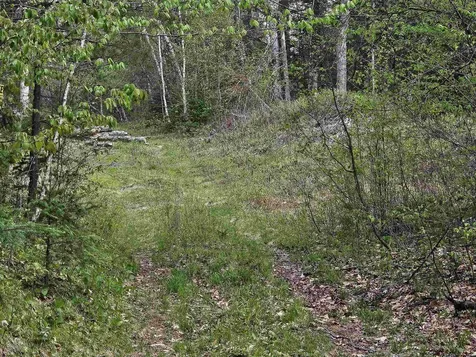 Lot 10.1 Wallace Hill Road Franconia NH 03580