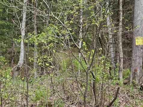 Lot 10.1 Wallace Hill Road Franconia NH 03580
