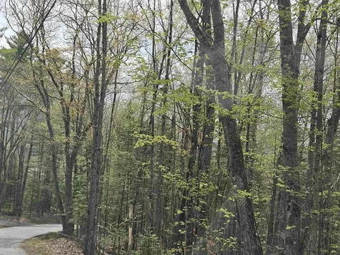 Lot 10.1 Wallace Hill Road Franconia NH 03580