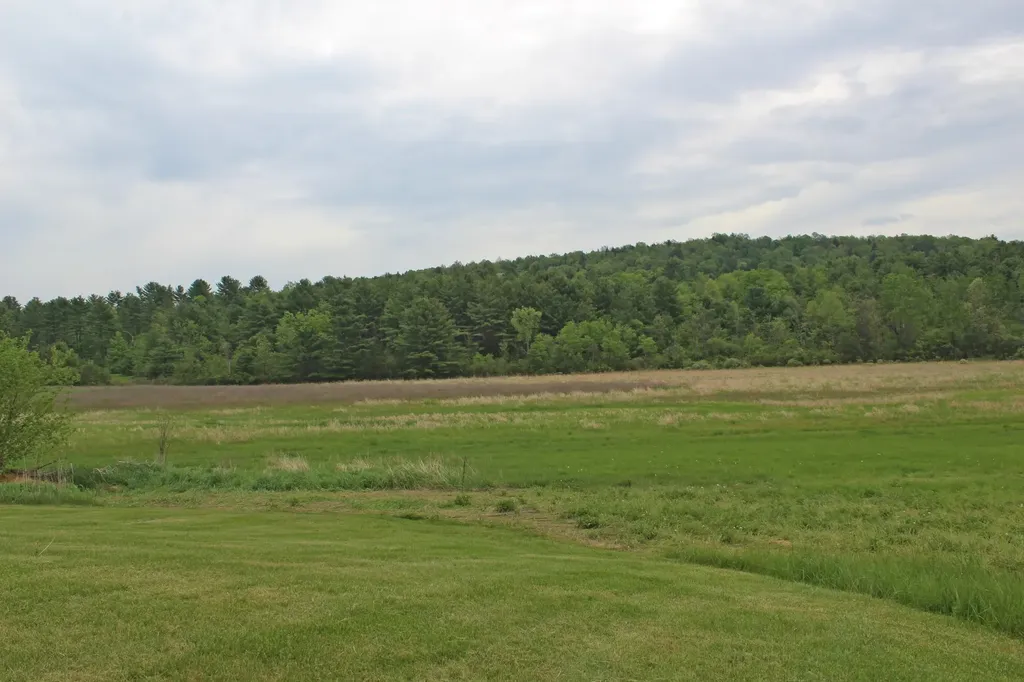 3588 Route 144 Benson VT 05743