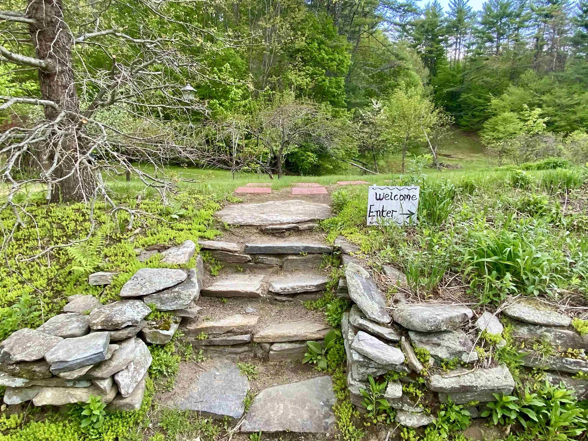 116 Teacher Road Jamaica VT 05343