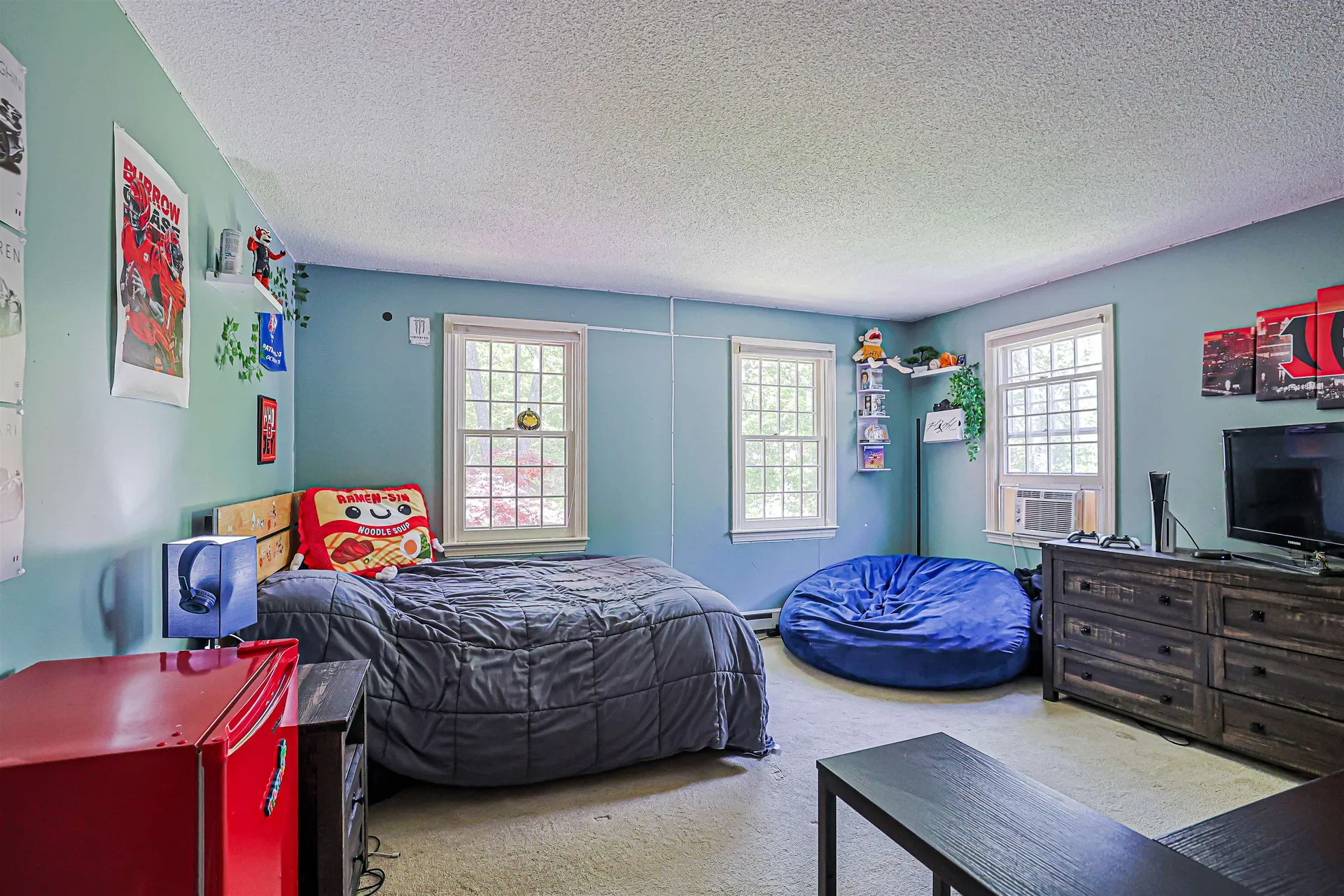 19 Winterberry Drive Amherst NH 03031