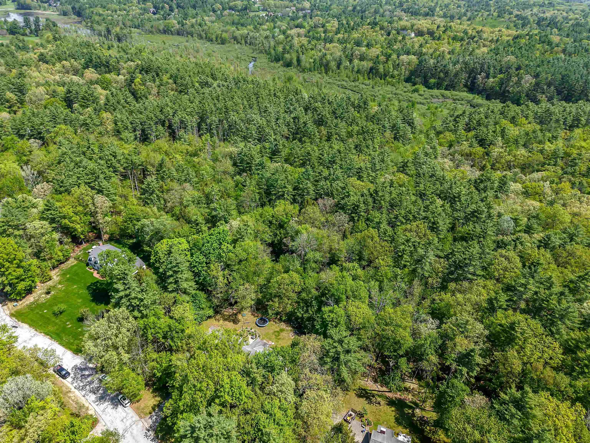 19 Winterberry Drive Amherst NH 03031
