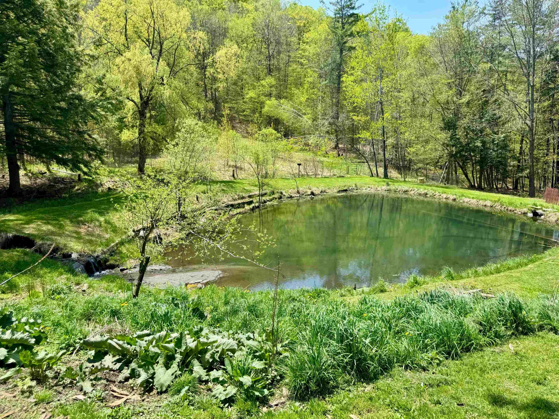 173 Kibling Hill Road Strafford VT 05072