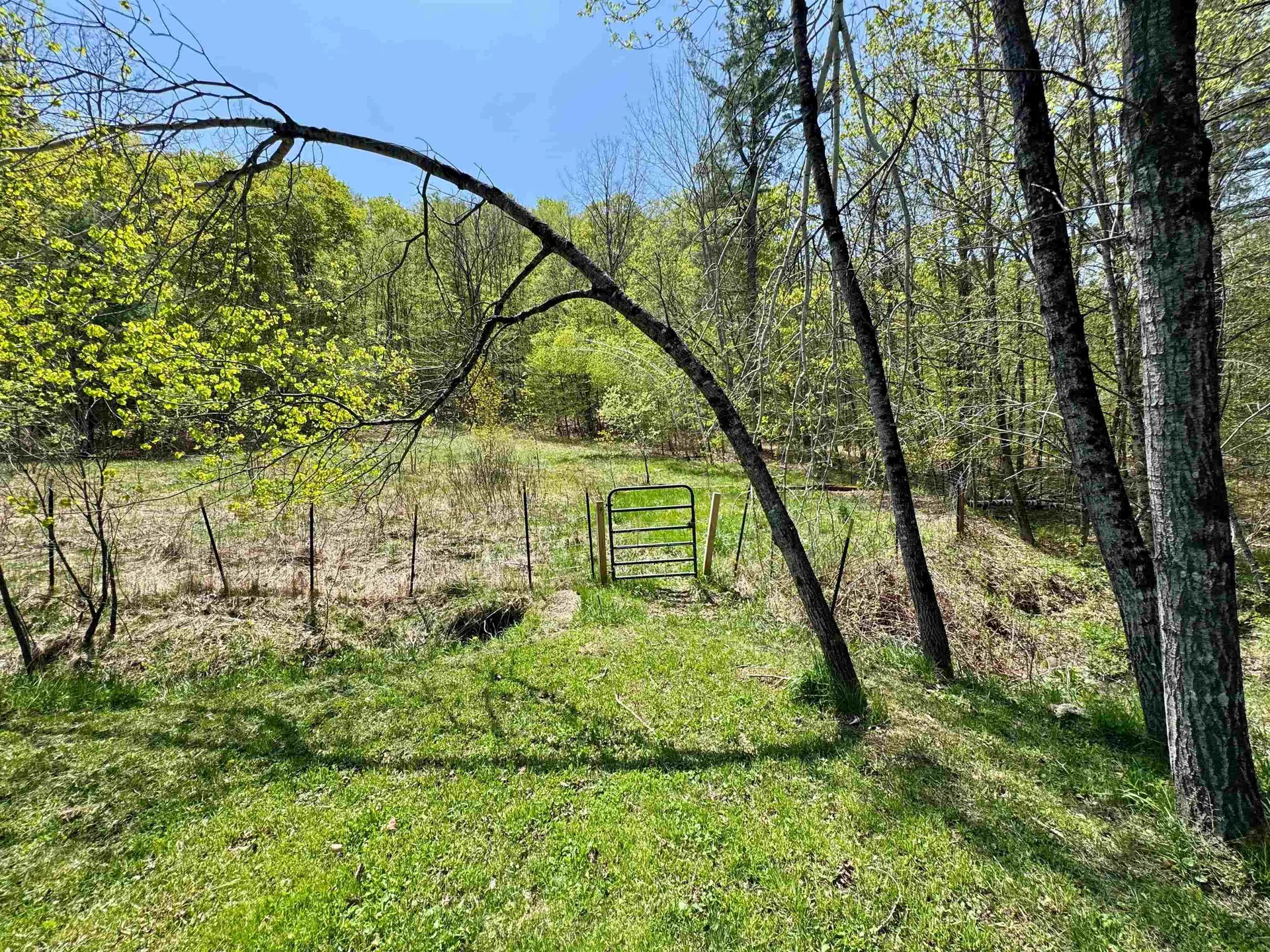 173 Kibling Hill Road Strafford VT 05072