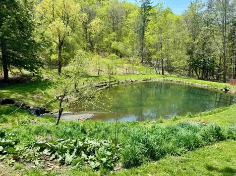 173 Kibling Hill Road Strafford VT 05072