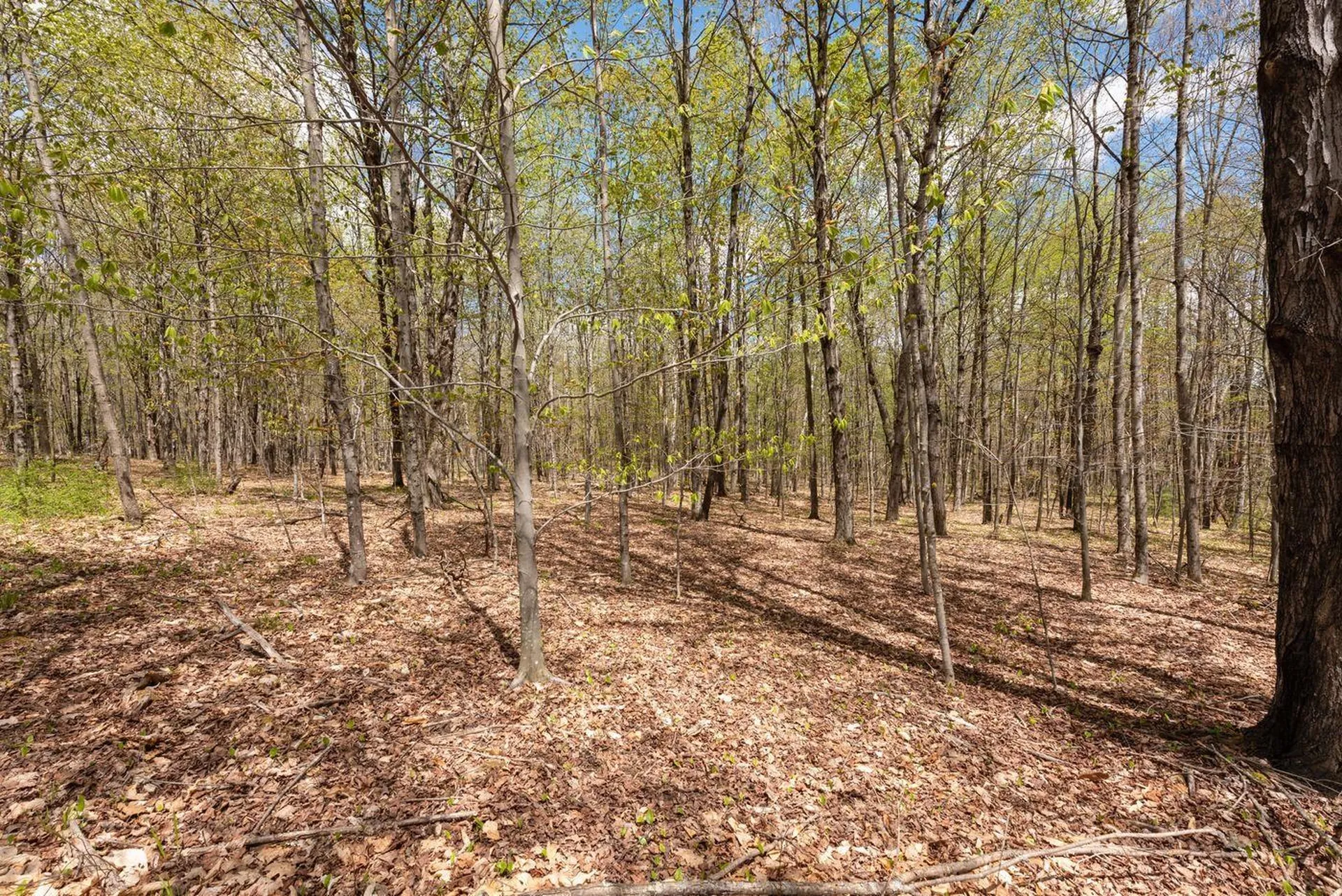 Lot #3 New Hampshire Route 140 Gilmanton NH 03237