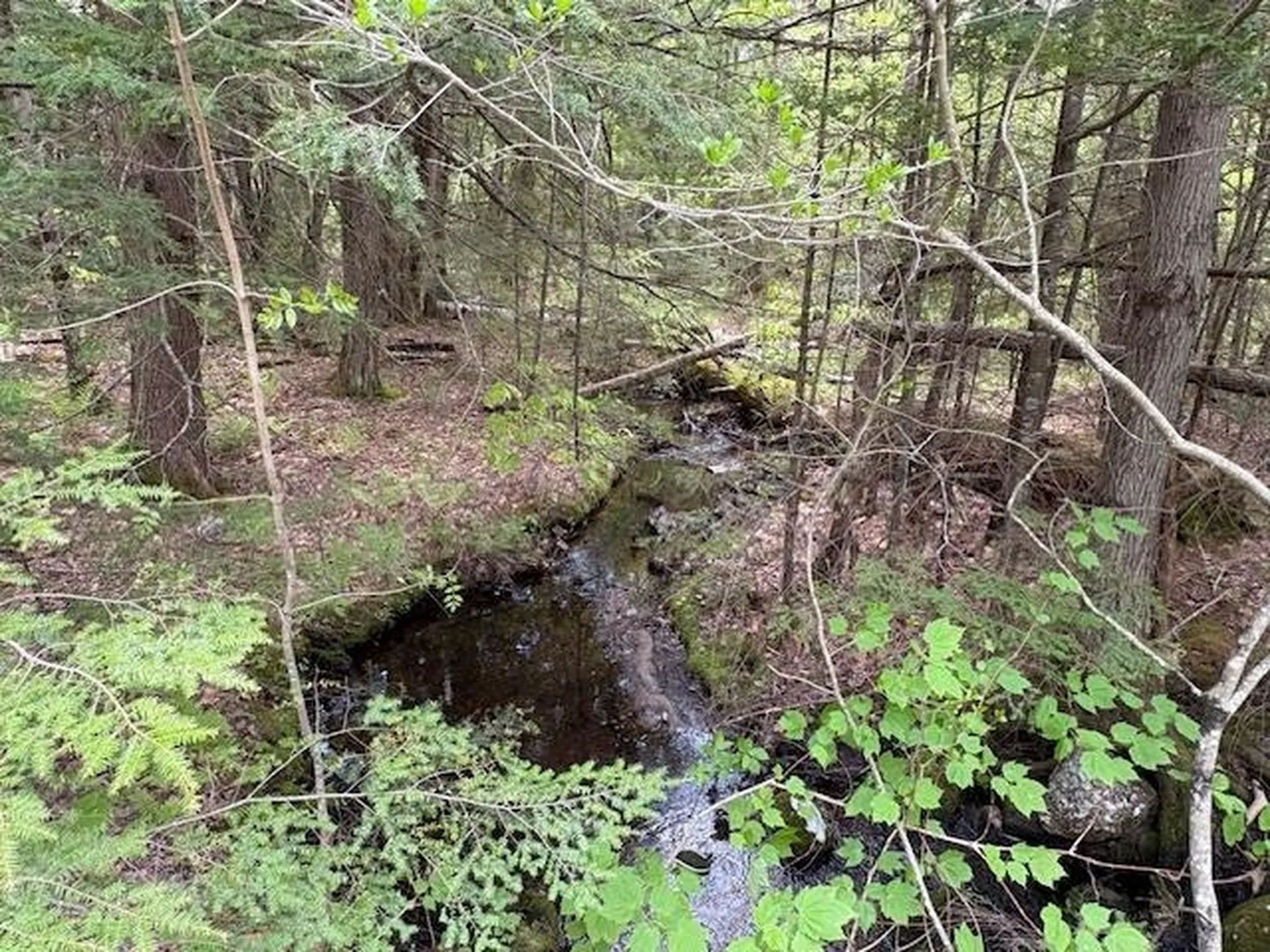 0 Nh Route 114 Sutton NH 03260