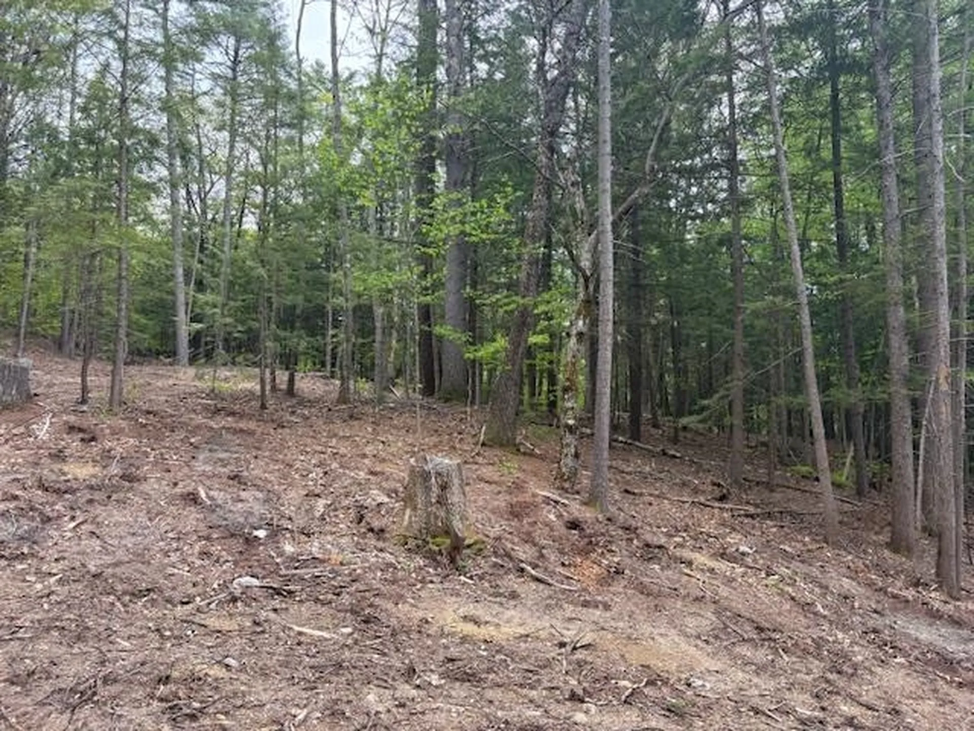 0 Nh Route 114 Sutton NH 03260