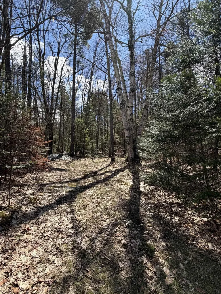36 Mountain Road Dalton NH 03598