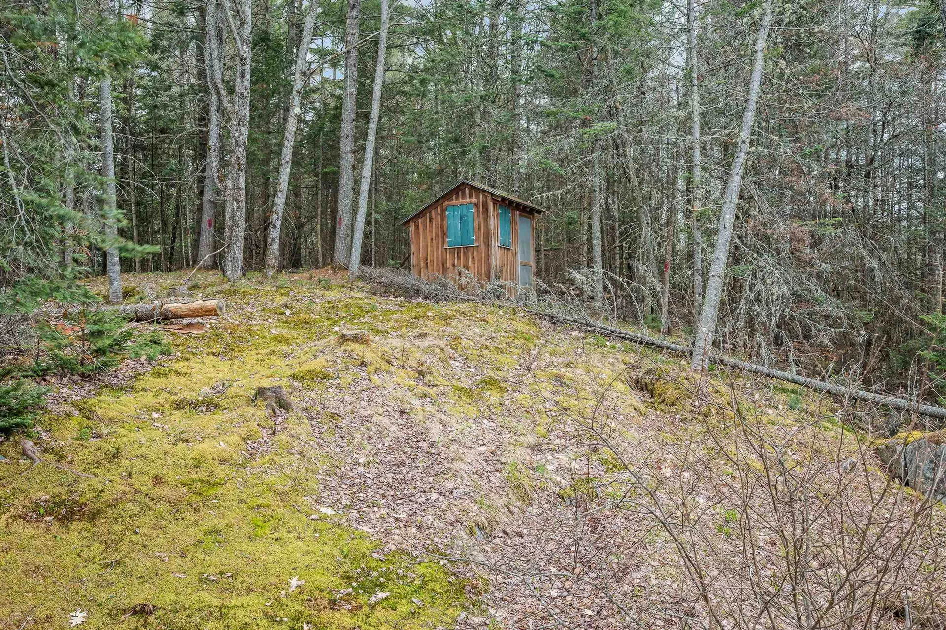 36 Mountain Road Dalton NH 03598