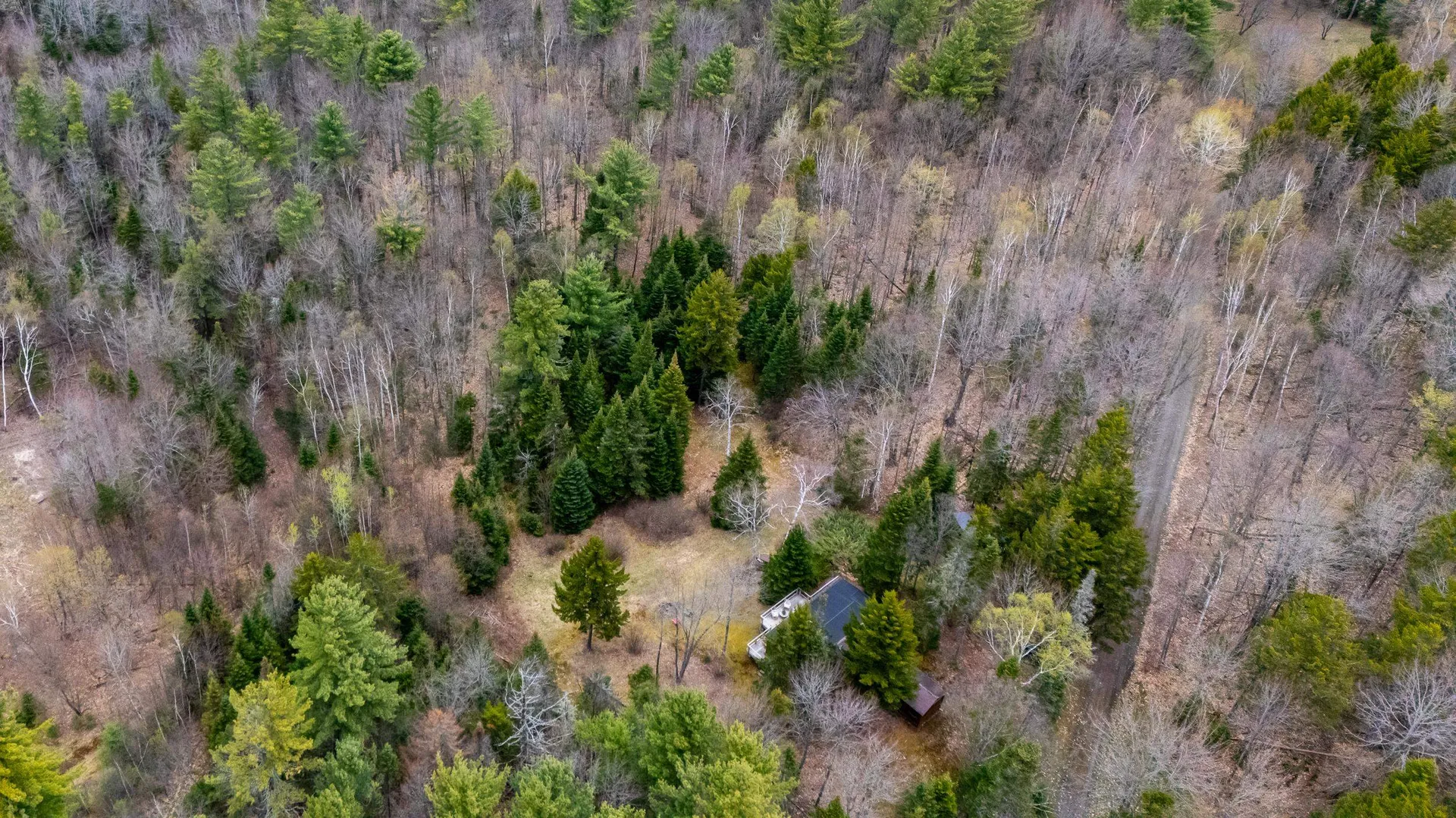 36 Mountain Road Dalton NH 03598