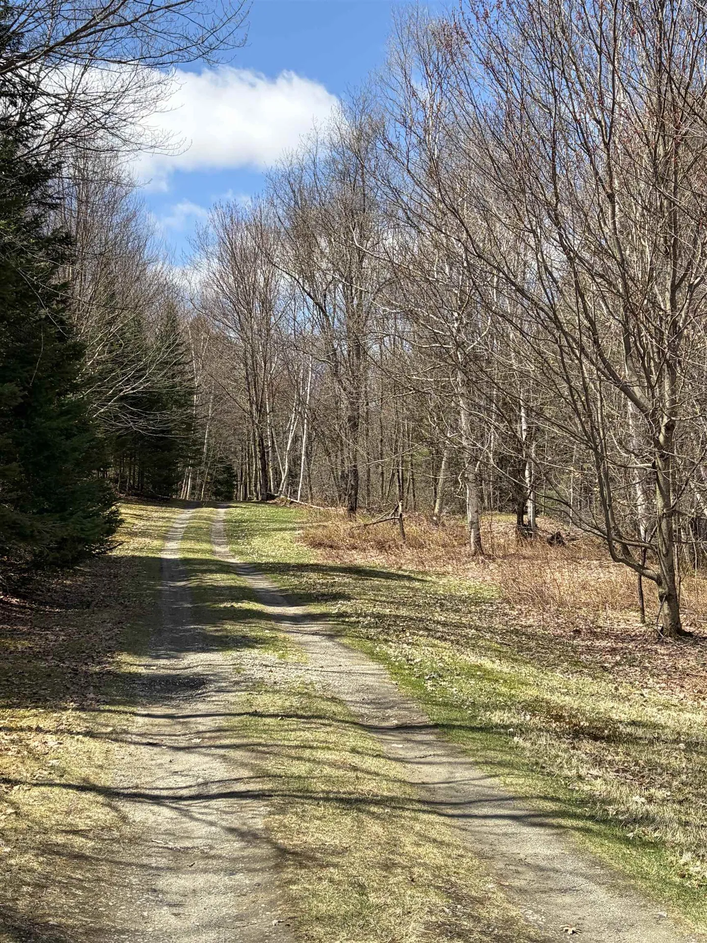 36 Mountain Road Dalton NH 03598