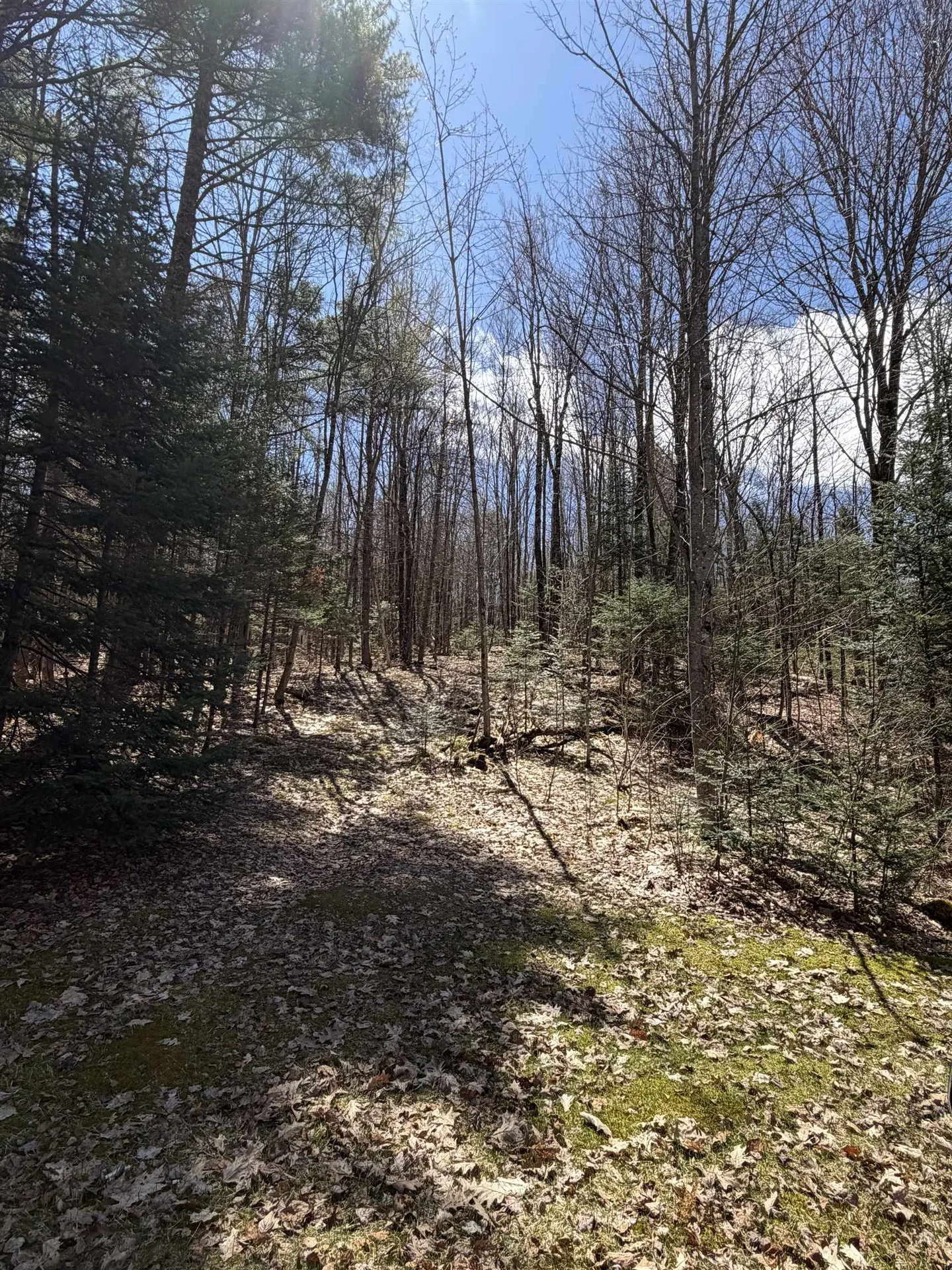36 Mountain Road Dalton NH 03598