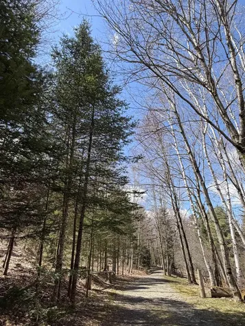 36 Mountain Road Dalton NH 03598