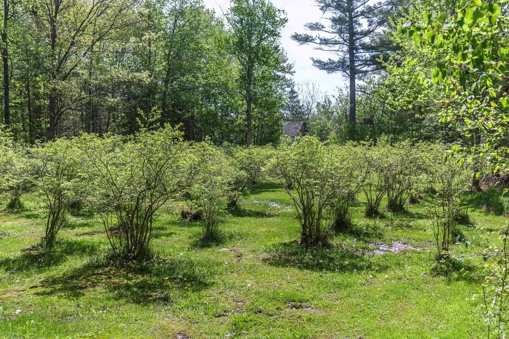 49 Moss Road Hopkinton NH 03229