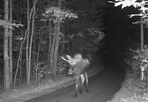 49 Moss Road Hopkinton NH 03229
