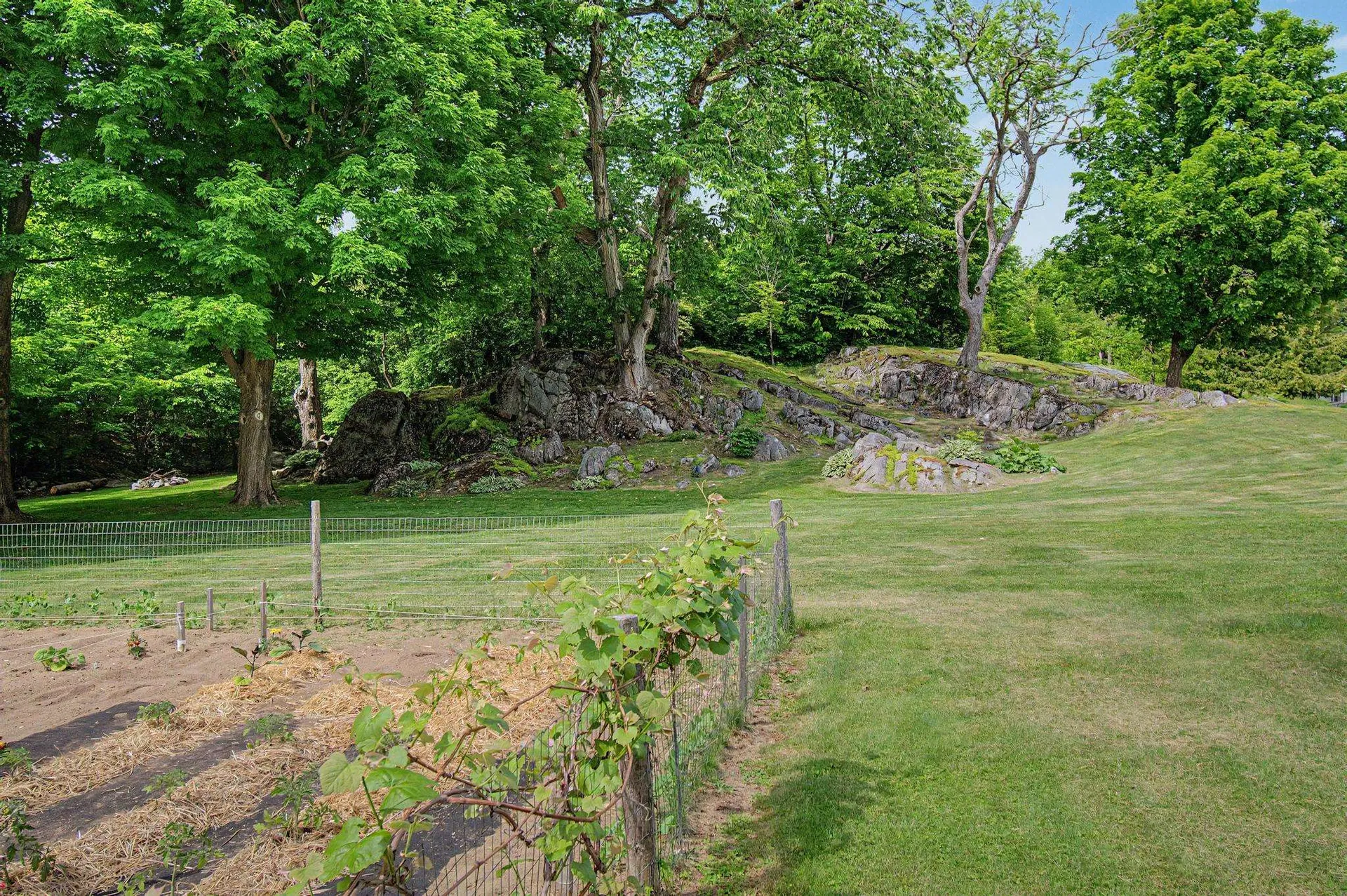2446 Carter Hill Road Highgate VT 05459