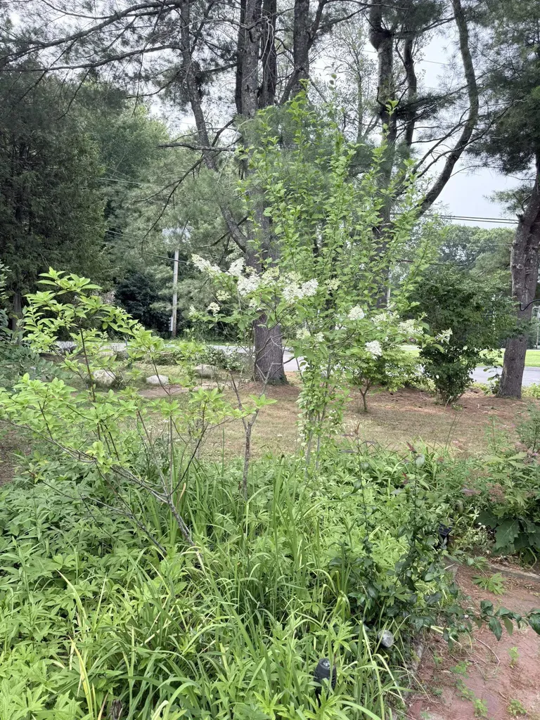 11 Willow Street Exeter NH 03883