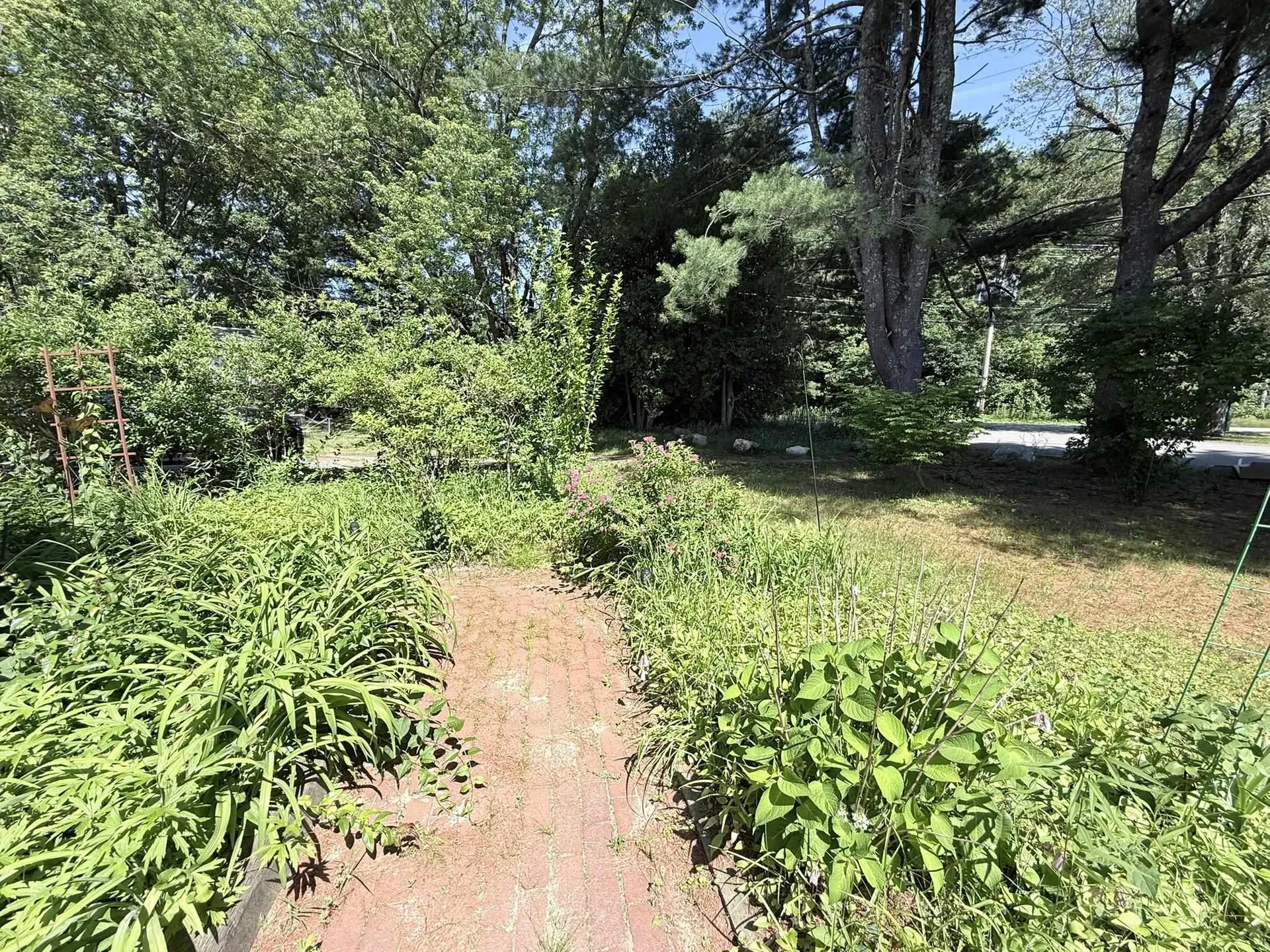11 Willow Street Exeter NH 03883