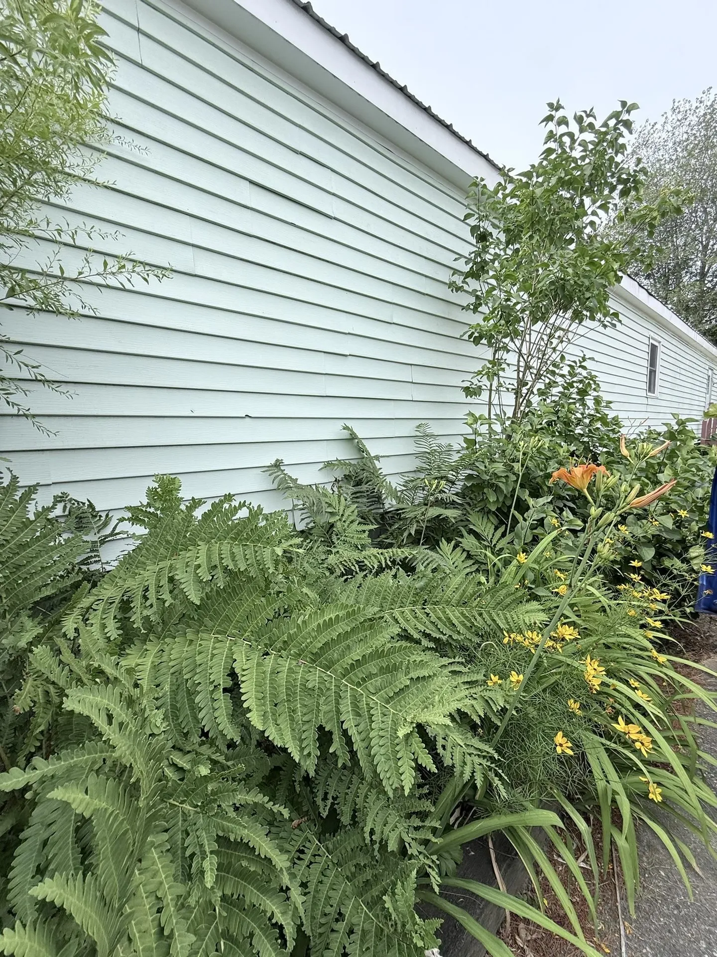 11 Willow Street Exeter NH 03883