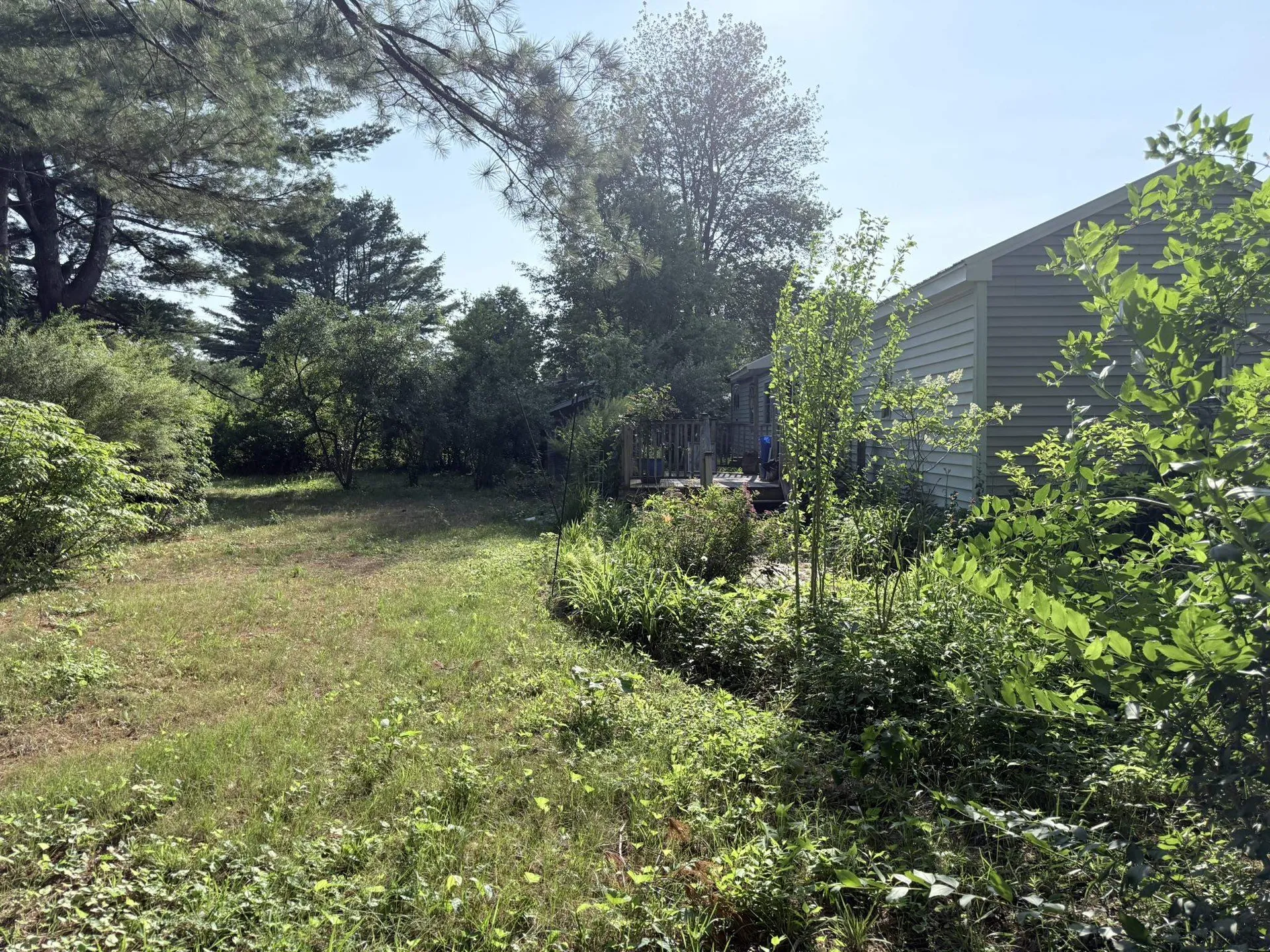 11 Willow Street Exeter NH 03883