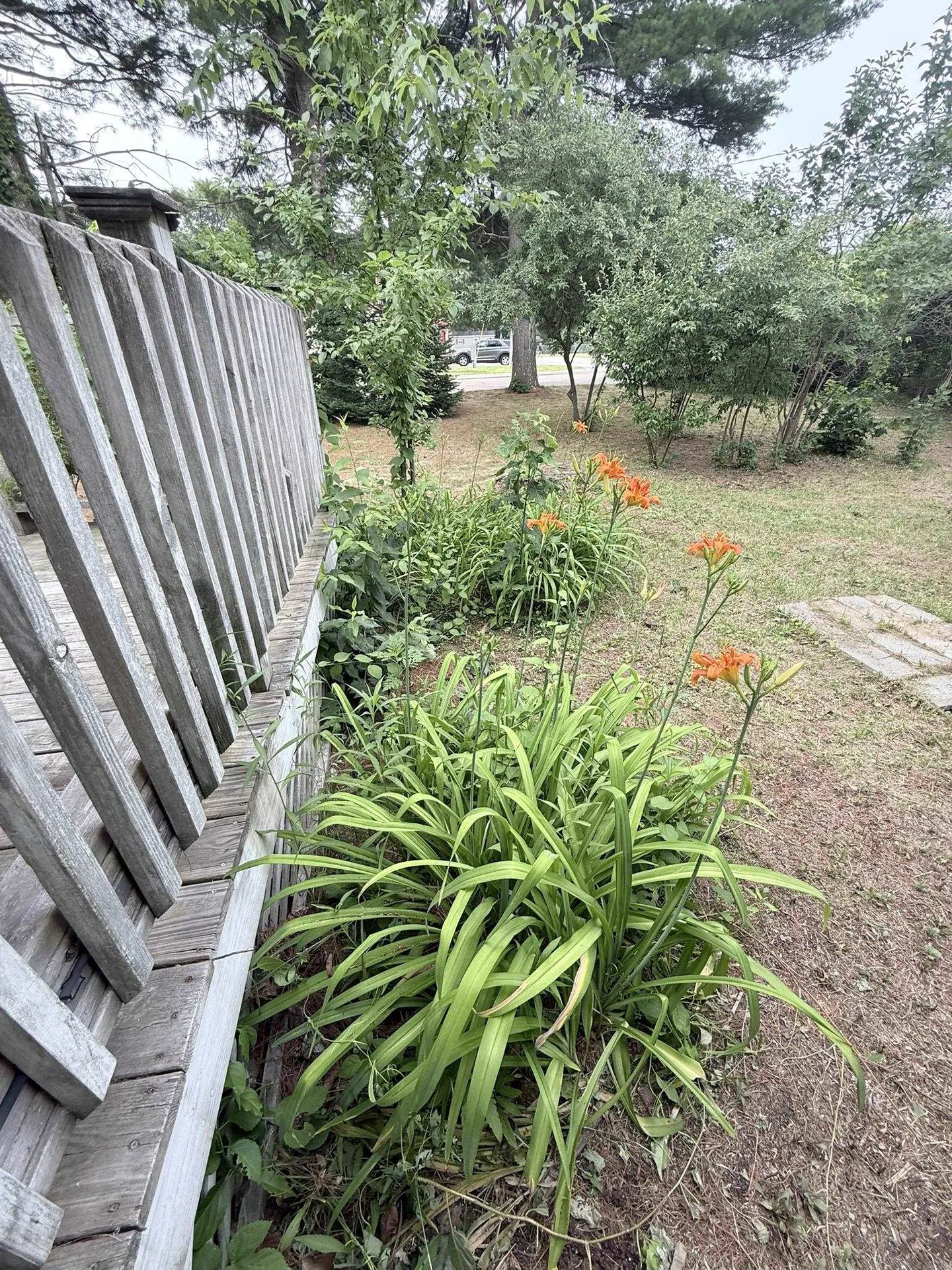 11 Willow Street Exeter NH 03883