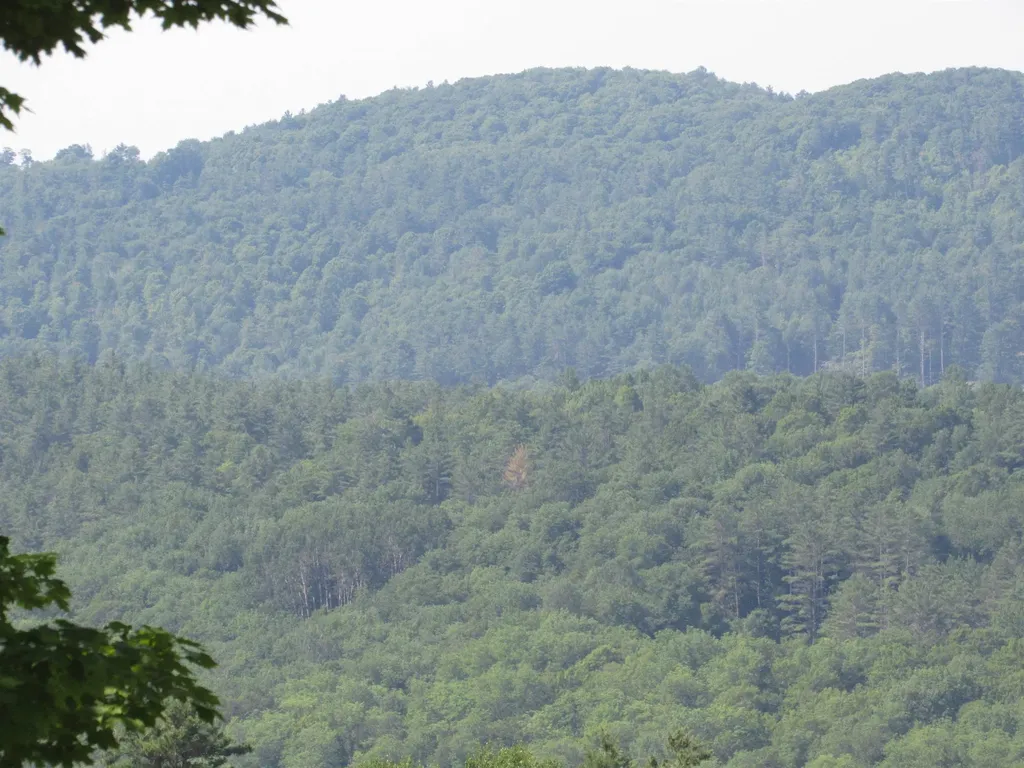 47 Watkins Road Danville VT 05828
