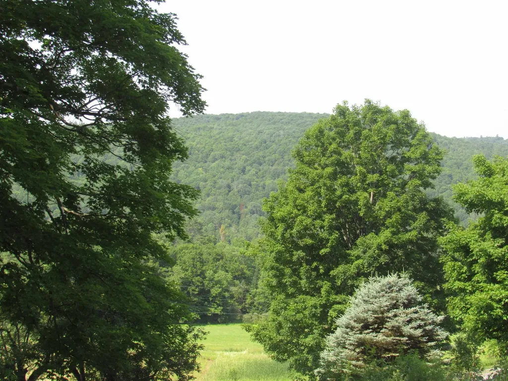 47 Watkins Road Danville VT 05828