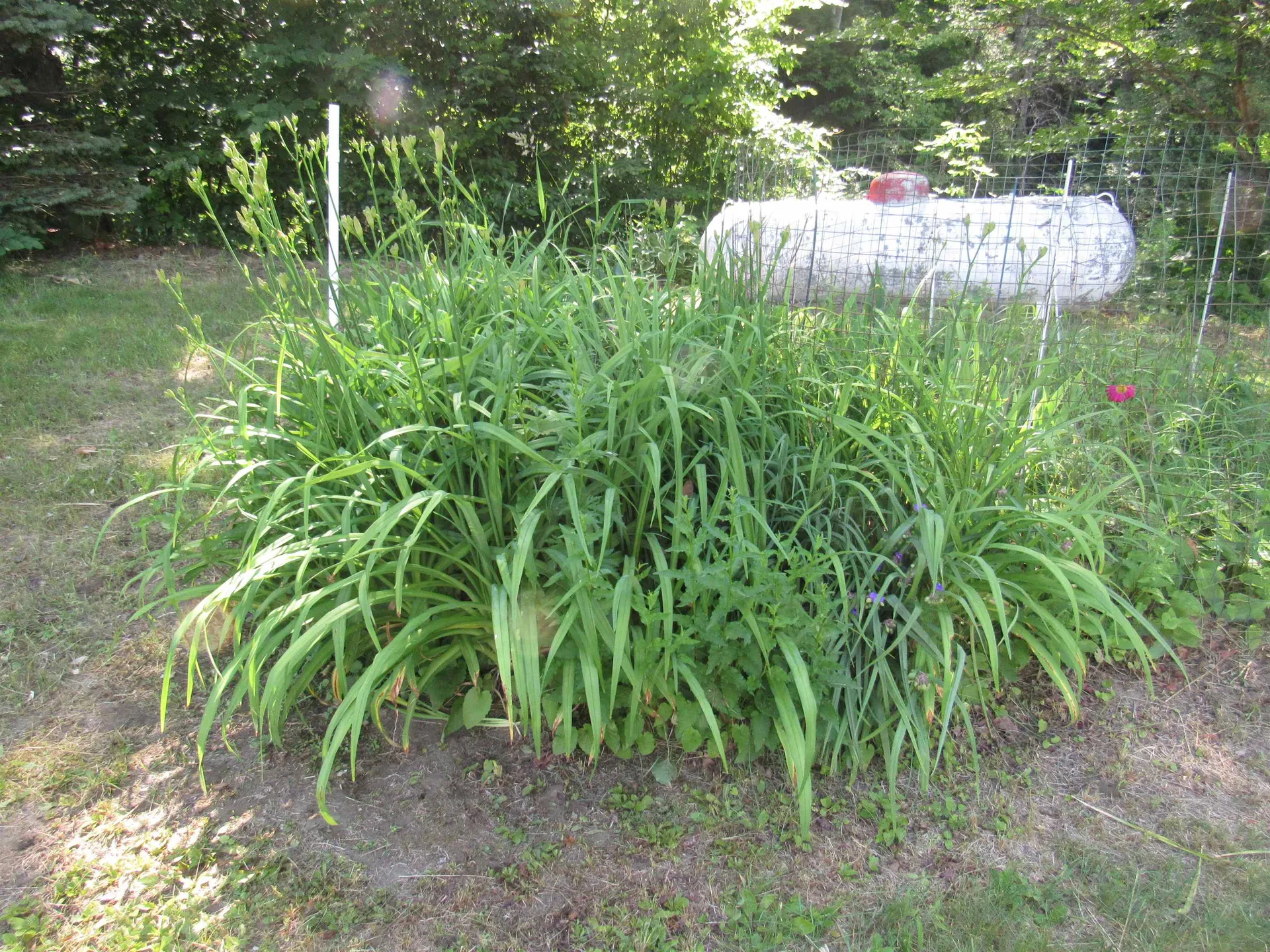 47 Watkins Road Danville VT 05828